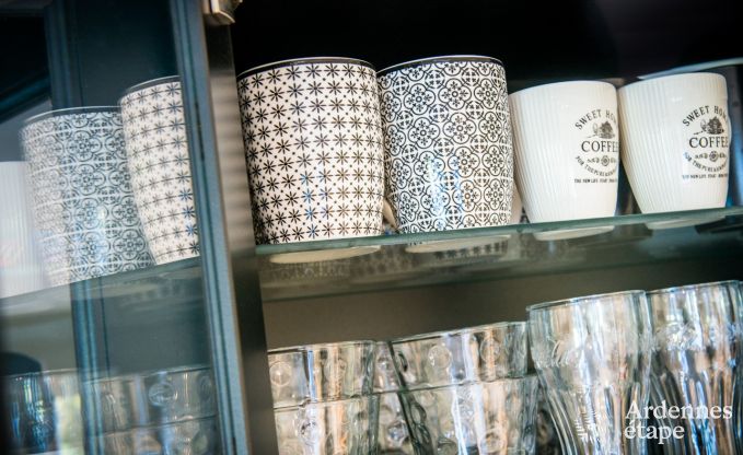 Vakantiehuis in Han sur Lesse voor 10 personen in de Ardennen