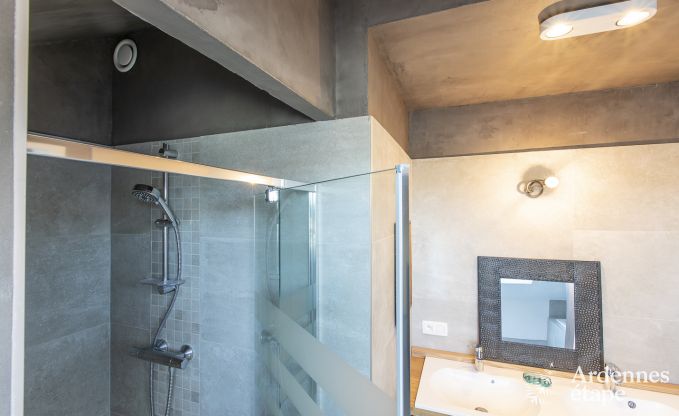 Vakantiehuis in Han-sur-Lesse voor 9 personen in de Ardennen