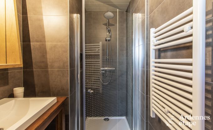 Vakantiehuis in Han-sur-Lesse voor 9 personen in de Ardennen