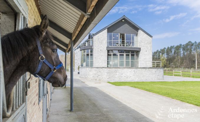 Loft in Han sur Lesse voor 7 personen in de Ardennen