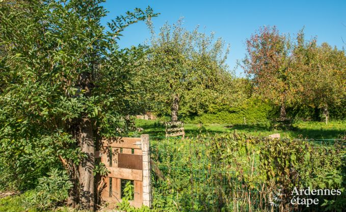 Vakantiehuis in Han sur Lesse voor 10 personen in de Ardennen