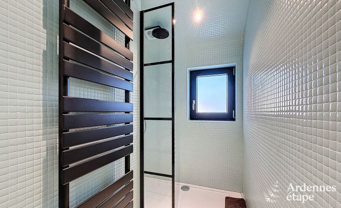 Ruim vakantiehuis in Han-sur-Lesse voor 8 personen met 4 slaapkamers, priv�tuin en terras