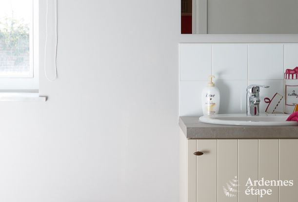 Vakantiehuis in Hannut voor 21 personen in de Ardennen