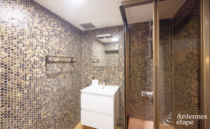 Vakantiehuis in Hannut voor 20 personen in de Ardennen