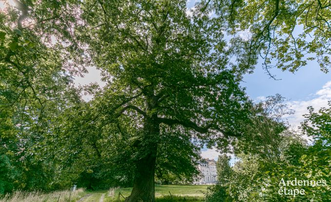 Kasteel in Hannut voor 8 personen in de Ardennen