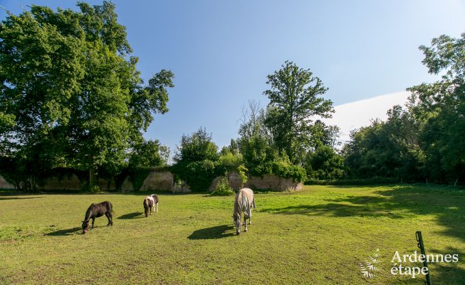 Vakantiehuis in Hannut voor 21 personen in de Ardennen