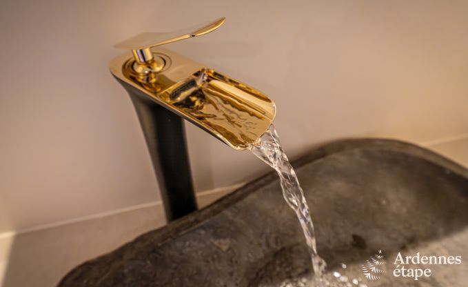 Ruime luxe villa met zwembad in Hastire, Ardennen