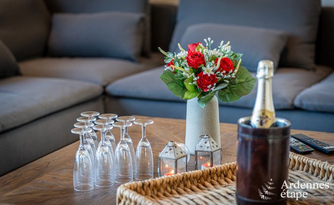 Ruime luxe villa met zwembad in Hasti�re, Ardennen