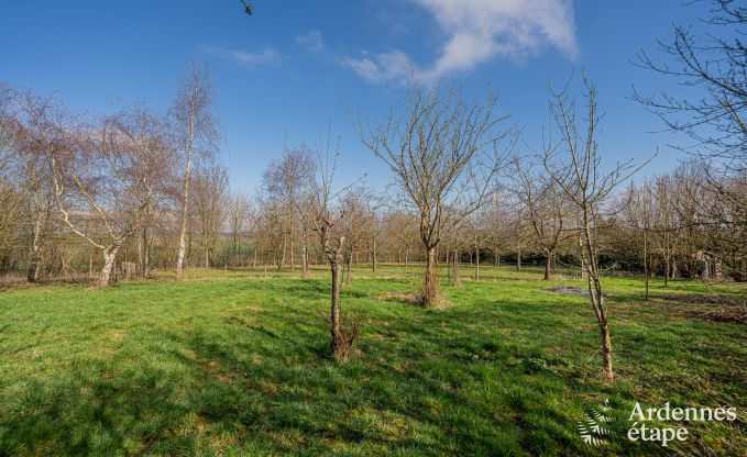 Ruime luxe villa met zwembad in Hasti�re, Ardennen