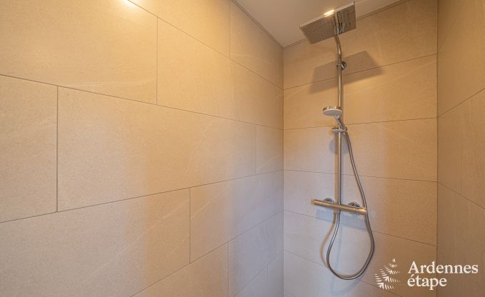 Ruime luxe villa met zwembad in Hasti�re, Ardennen