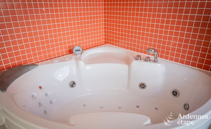 Ruime luxe villa met zwembad in Hasti�re, Ardennen