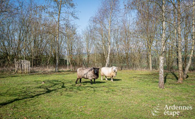 Ruime luxe villa met zwembad in Hasti�re, Ardennen