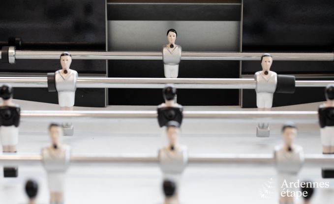 Vakantiehuis in Haut-Fays voor 6/7 personen in de Ardennen