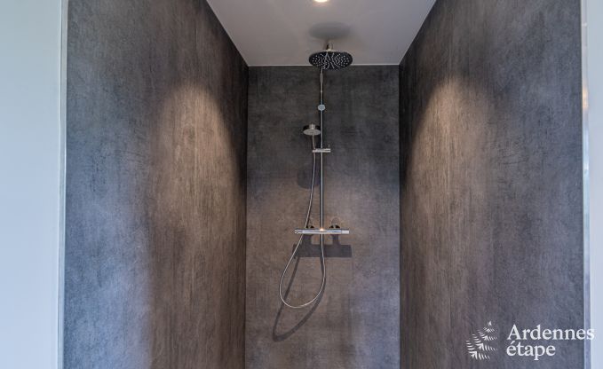 Prachtig vakantiehuis voor 14 personen in Havelange