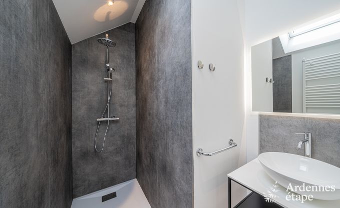 Prachtig vakantiehuis voor 14 personen in Havelange