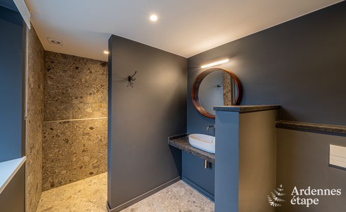 Luxe villa voor 14 personen in Havelange met privtuin en moderne voorzieningen in de Ardennen