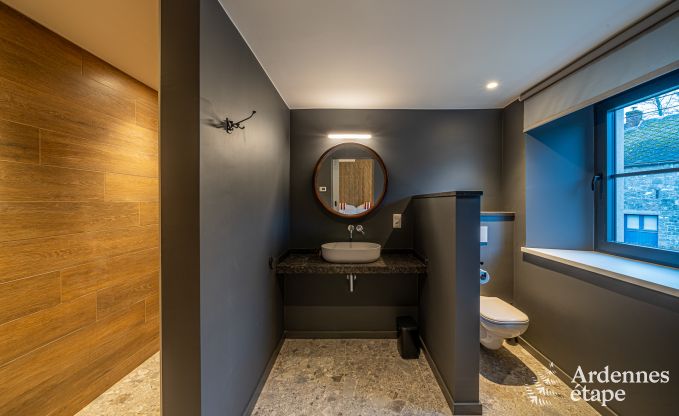 Luxe villa voor 14 personen in Havelange met privtuin en moderne voorzieningen in de Ardennen