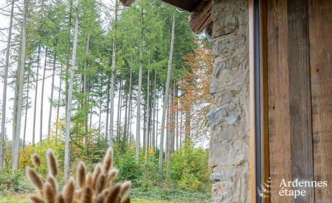 Moderne en authentieke cottage voor 12 personen in Herbeumont, dicht bij de Semoisvallei