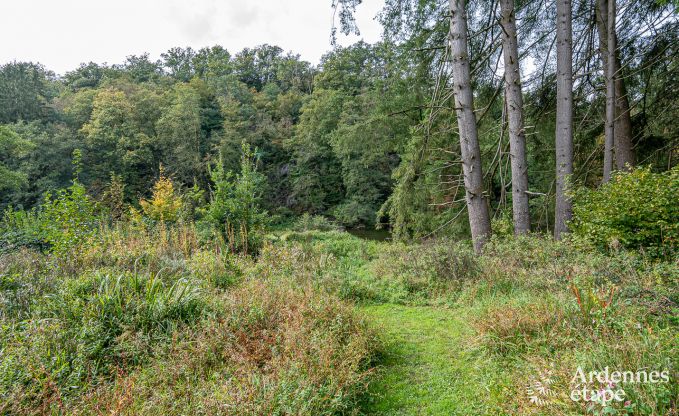 Luxe villa in Herbeumont voor 32 personen: comfort en privacy in het hart van de Ardennen