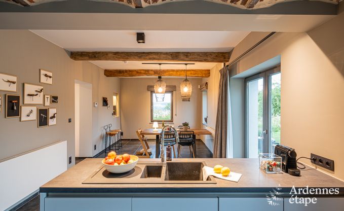 Comfortabel vakantiehuis voor 12 personen  in Hron, Ardennen