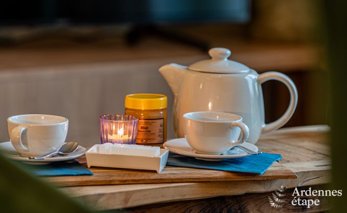 Comfortabel vakantiehuis voor 12 personen  in H�ron, Ardennen