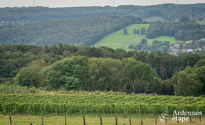 Comfortabel vakantiehuis voor 12 personen  in H�ron, Ardennen