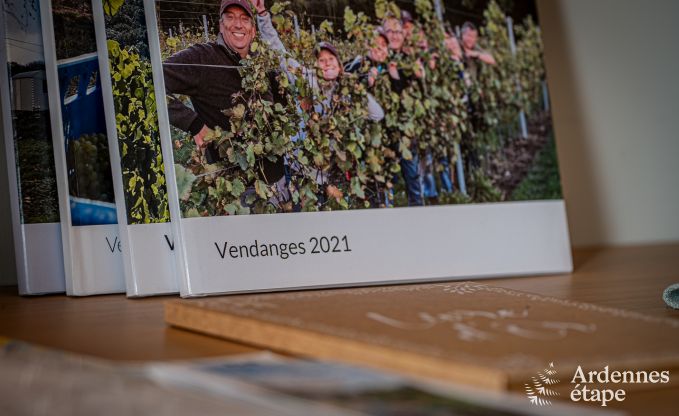 Comfortabel vakantiehuis in Hron voor 8 personen, Ardennen