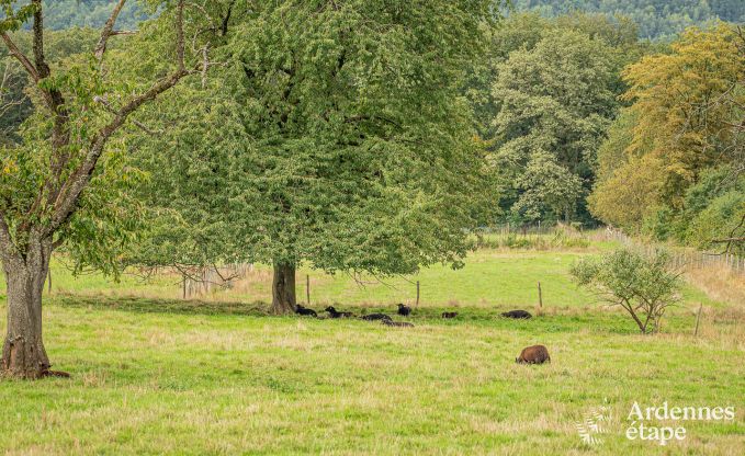 Comfortabel vakantiehuis in Hron voor 8 personen, Ardennen