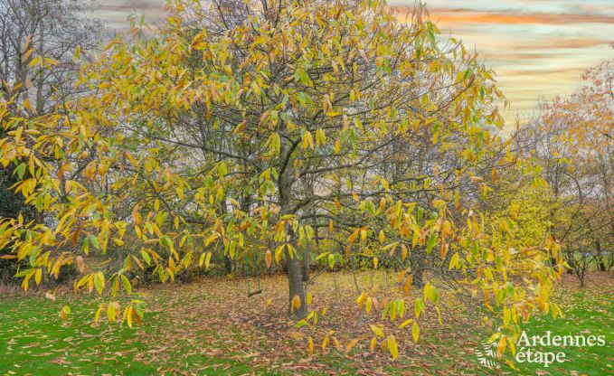 Vakantiehuis in Herve voor 12 personen in het Land van Herve