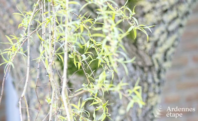 Vakantiehuis in Herve voor 12/14 personen in de Ardennen
