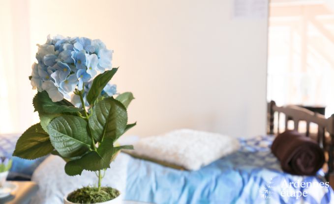 Vakantiehuis in Herve voor 12/14 personen in de Ardennen