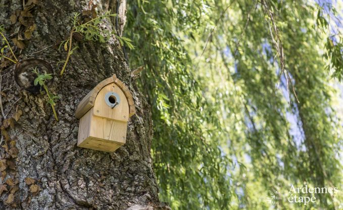 Vakantiehuis in Herve voor 4 personen in de Ardennen