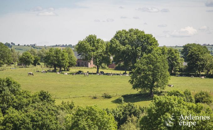 Vakantiehuis in Herve voor 4 personen in de Ardennen