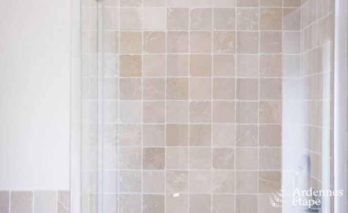 Luxe villa in Hockai voor 44 personen in de Ardennen