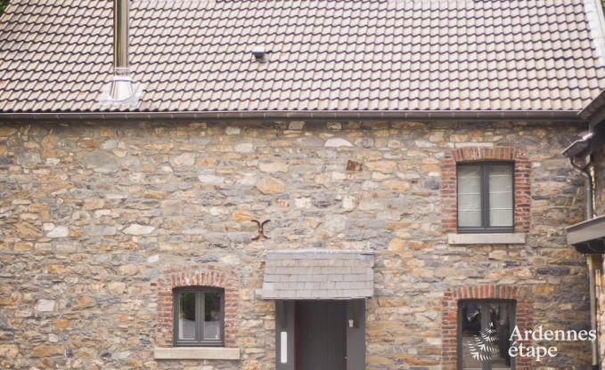 Modern ingerichte, ruime en hondvriendelijke luxe villa voor 8 personen in Hockai, Hoge Venen