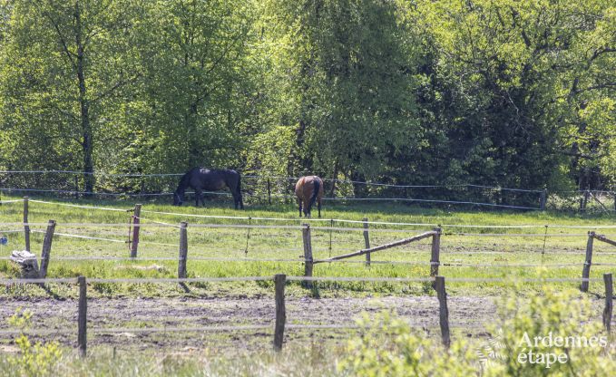Luxe villa in Hockai voor 14 personen in de Ardennen