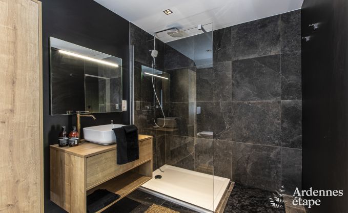 Luxe villa in Hockai voor 14 personen in de Ardennen