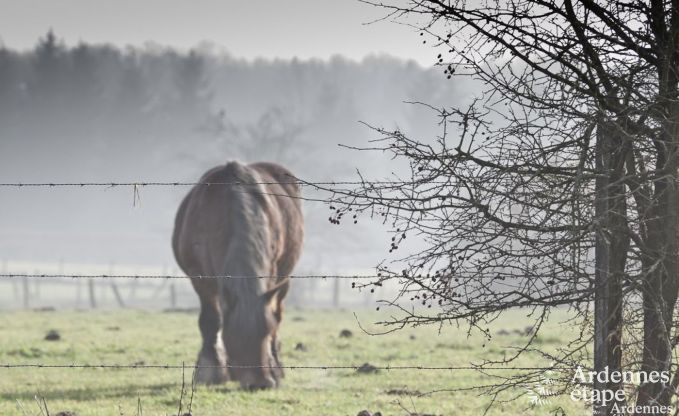 Luxe villa in Hockai voor 25 personen in de Ardennen