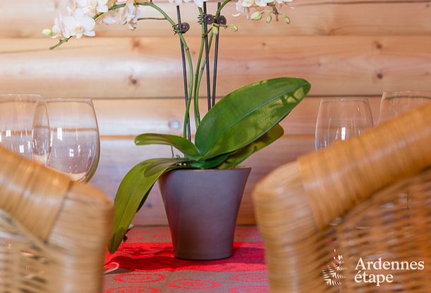 Vakantiehuis in Hockai voor 4/5 personen in de Ardennen