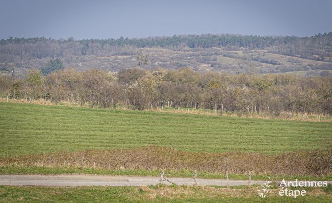 Luxe villa in Hotton voor 12 personen in de Ardennen
