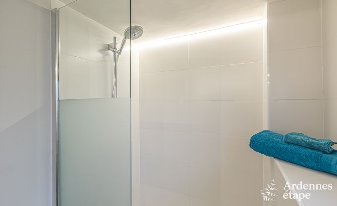 Vakantiehuis in Hotton voor 8/10 personen in de Ardennen