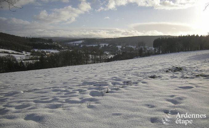 Vakantiehuis in Hotton voor 9 personen in de Ardennen