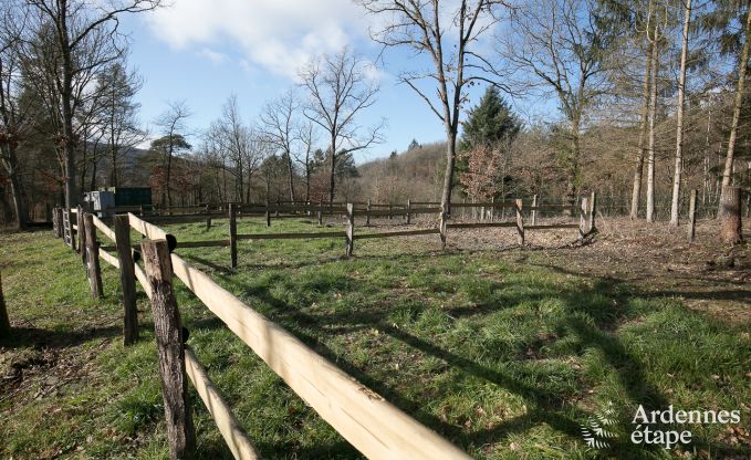 Vakantiehuis in Hotton voor 9 personen in de Ardennen