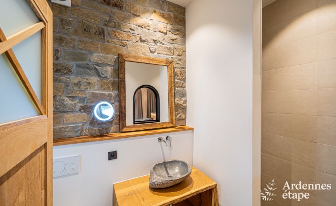 Ruime vakantiewoning voor 15 personen in Hotton, Ardennen, met 6 slaap- en badkamers, haardvuur, biljart en terras met vuurkorf