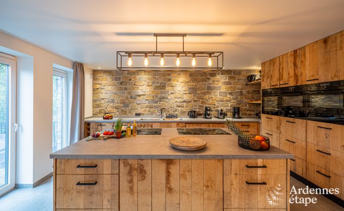 Ruime vakantiewoning voor 15 personen in Hotton, Ardennen, met 6 slaap- en badkamers, haardvuur, biljart en terras met vuurkorf