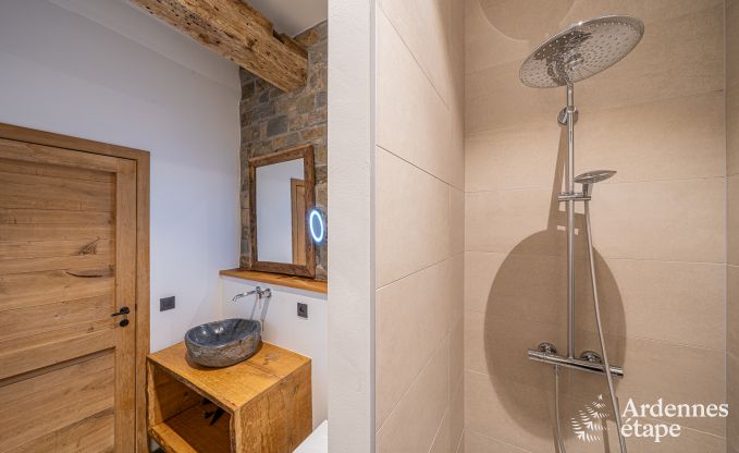 Ruime vakantiewoning voor 15 personen in Hotton, Ardennen, met 6 slaap- en badkamers, haardvuur, biljart en terras met vuurkorf