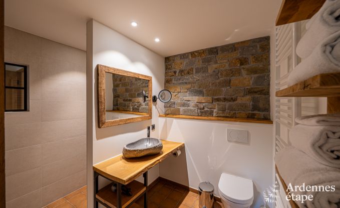 Ruime vakantiewoning voor 15 personen in Hotton, Ardennen, met 6 slaap- en badkamers, haardvuur, biljart en terras met vuurkorf