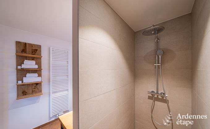 Ruime vakantiewoning voor 15 personen in Hotton, Ardennen, met 6 slaap- en badkamers, haardvuur, biljart en terras met vuurkorf