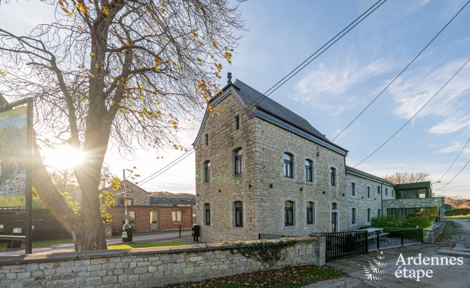 Ruime vakantiewoning voor 15 personen in Hotton, Ardennen, met 6 slaap- en badkamers, haardvuur, biljart en terras met vuurkorf