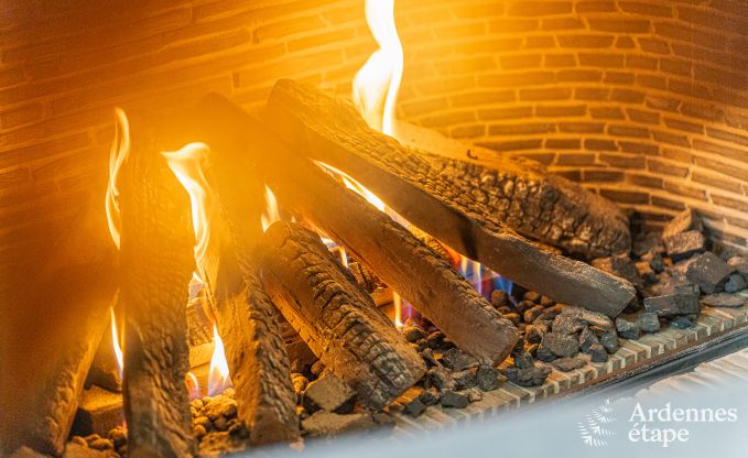 Ruime vakantiewoning voor 15 personen in Hotton, Ardennen, met 6 slaap- en badkamers, haardvuur, biljart en terras met vuurkorf
